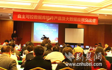 湖北軟件產(chǎn)業(yè)發(fā)展加速，漢產(chǎn)數(shù)據(jù)庫品牌挺進(jìn)國(guó)際市場(chǎng)